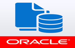 Oracle数据库管理工具有哪些?-半岛·页面首页登入