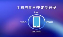 APP开发市场上常见问题分析-半岛·页面首页登入